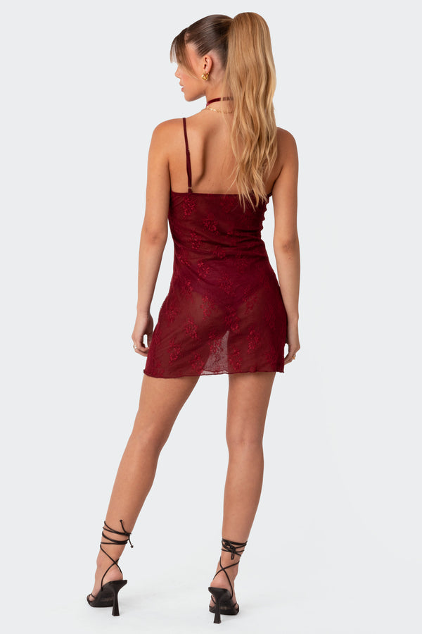 Edikted Madame Sheer Lace Mini Dress Burgundy