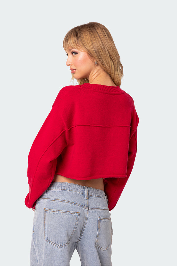Edikted Varsity Cropped Sweater Red