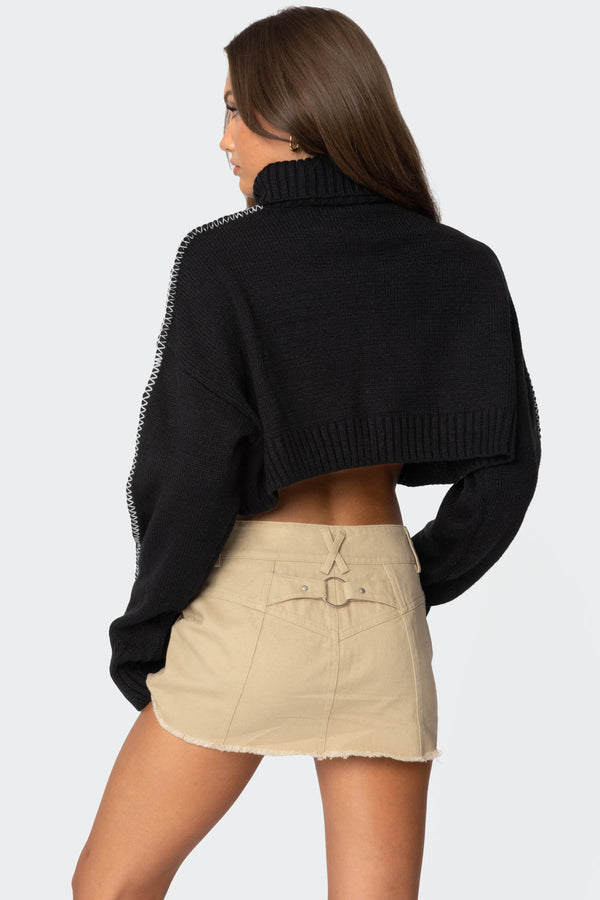 Edikted Embroidered Edge Cropped Turtle Neck Sweater Black