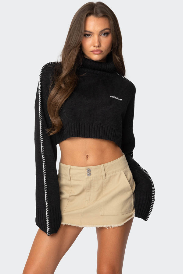 edikted Embroidered Edge Cropped Turtle Neck Sweater black