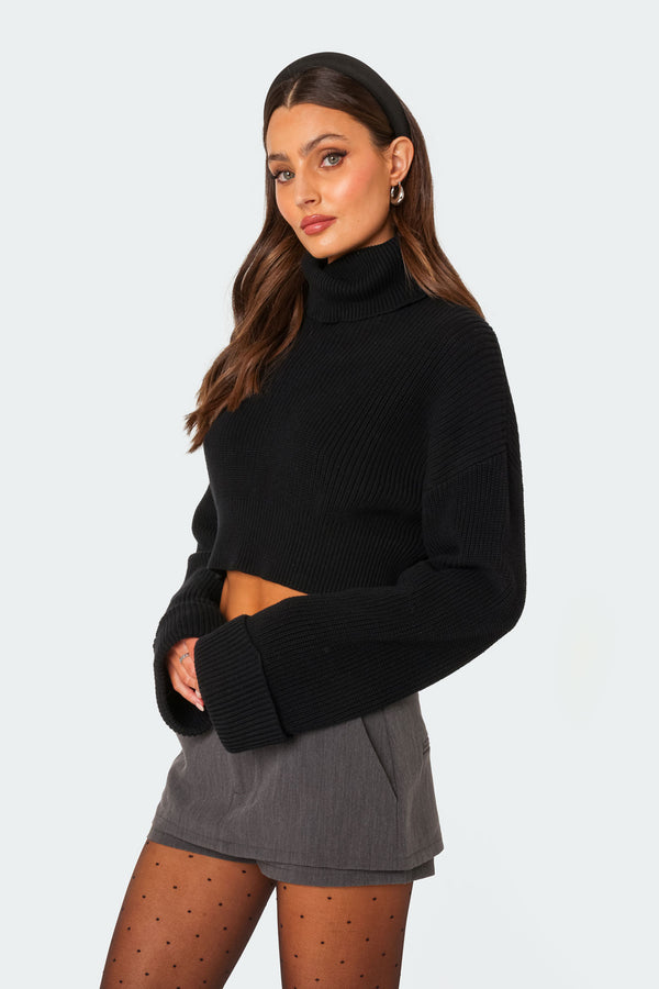 Edikted Oversized Turtle Neck Cropped Sweater Black